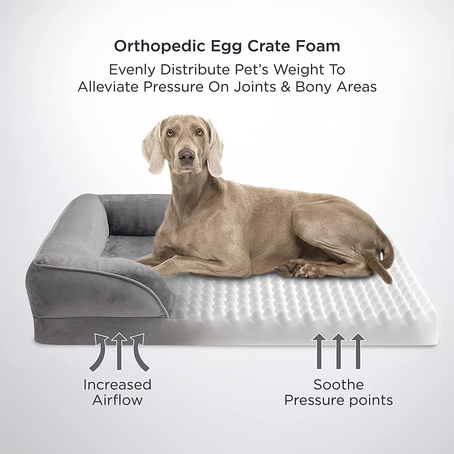 Bedsure Orthopedic Dog Bed For Medium Dogs – TradeRak Direct